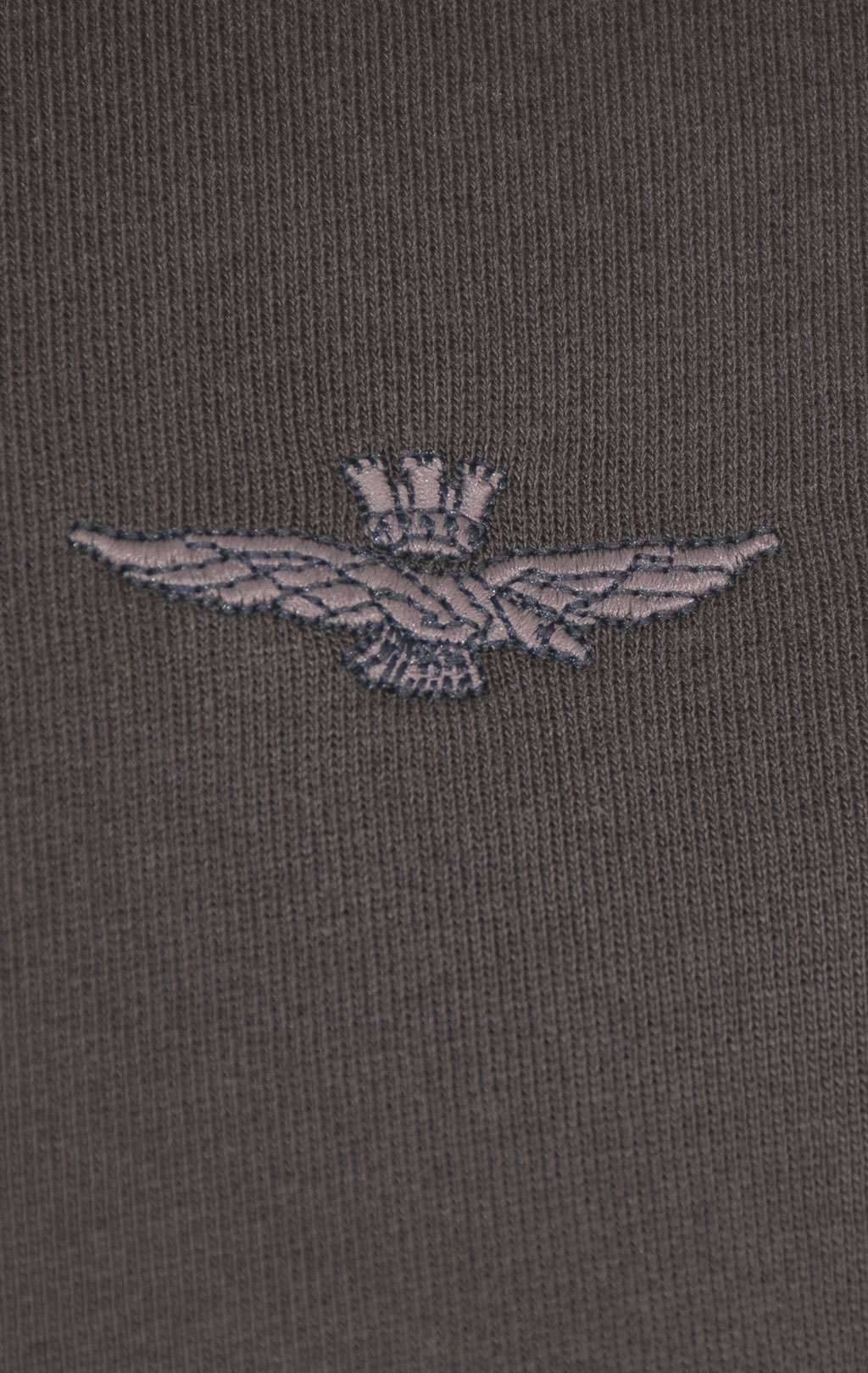 Толстовка AERONAUTICA MILITARE FW 24/25/TR dark musk (FE 1940) 