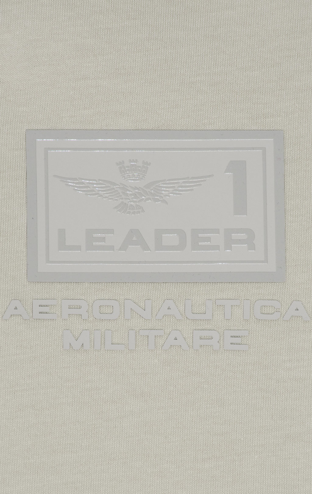 Футболка AERONAUTICA MILITARE SS 25 m/IT ghiaccio (TS 2419) 