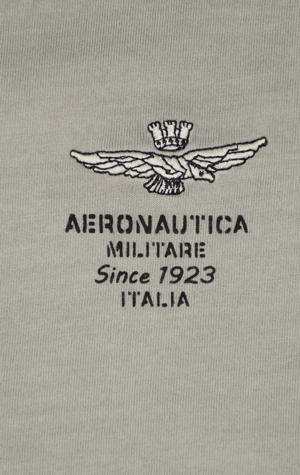 Футболка AERONAUTICA MILITARE SS 24/IN sage green (TS 2205) 