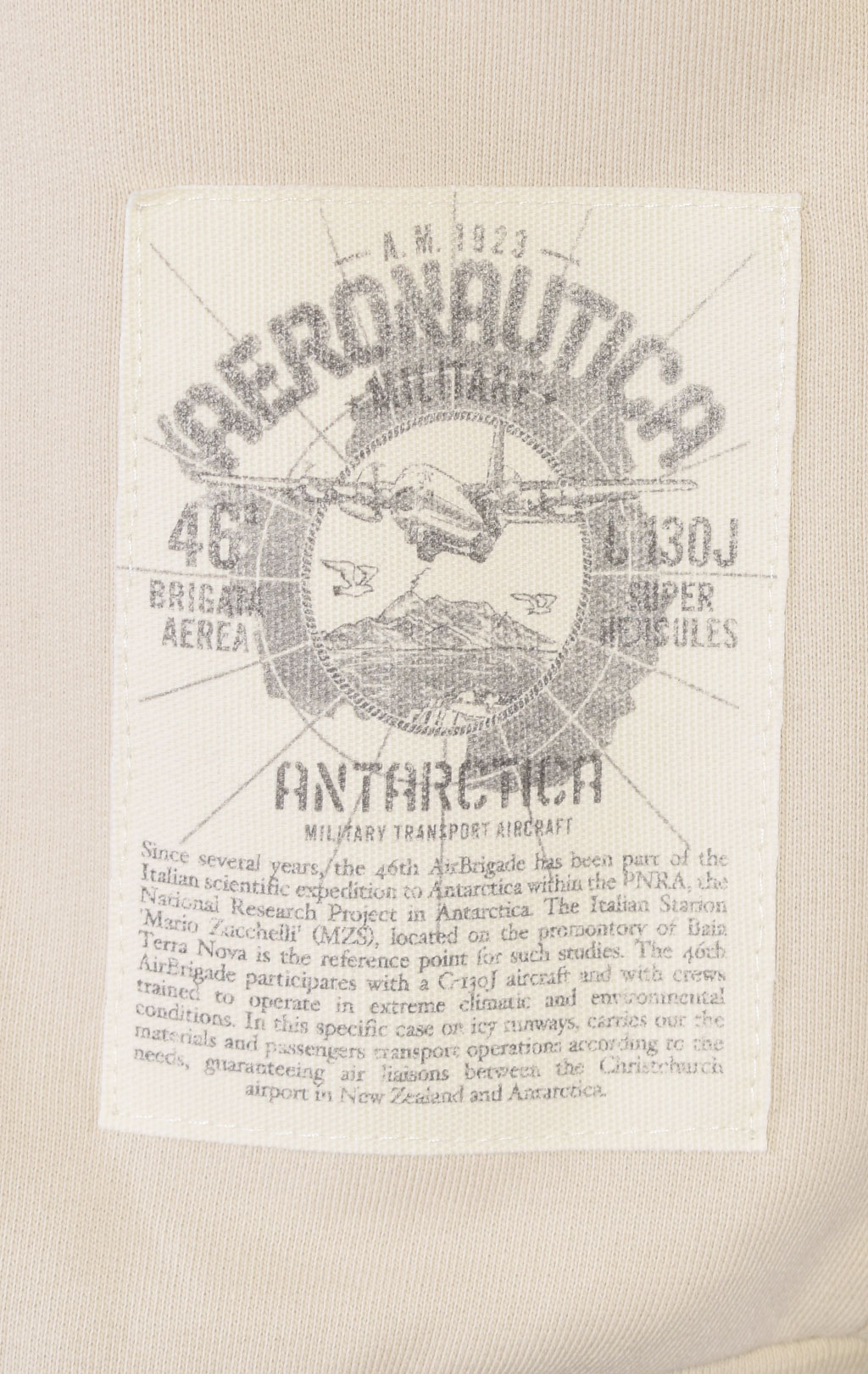 Толстовка с капюшоном AERONAUTICA MILITARE ANTARCTICA FW 23/24/TR ghiaccio (FE 1820) 