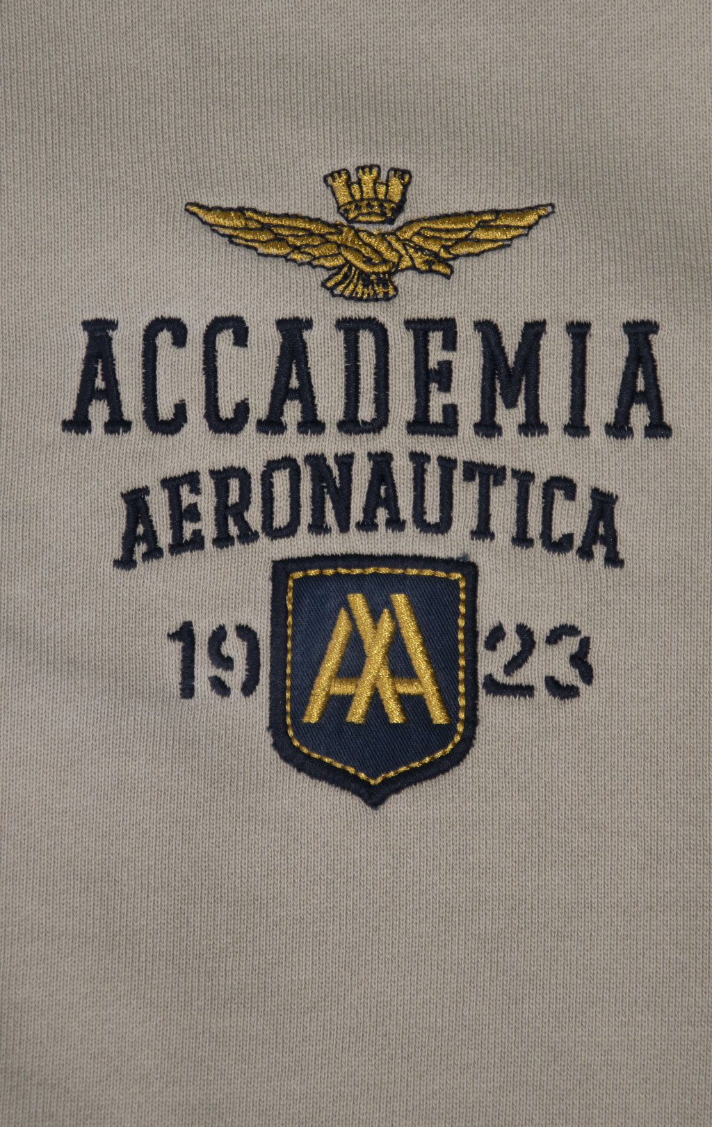 Олимпийка AERONAUTICA MILITARE FW 24/25/TR sable/dark blue (FE 1929) 