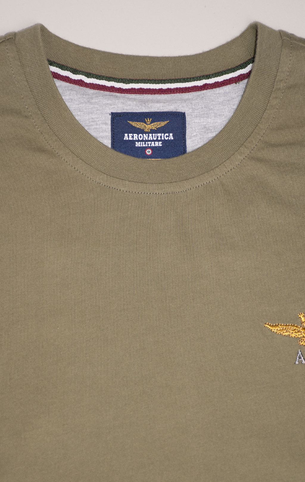 Лонгслив AERONAUTICA MILITARE big size FW 24/25/TR green (TS 2390) 