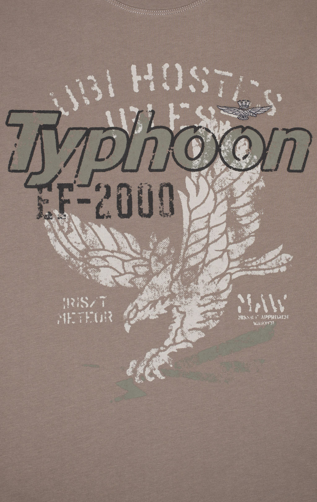 Лонгслив AERONAUTICA MILITARE FW 24/25/TR light mud (TS 2324) 